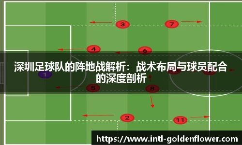 深圳足球队的阵地战解析：战术布局与球员配合的深度剖析